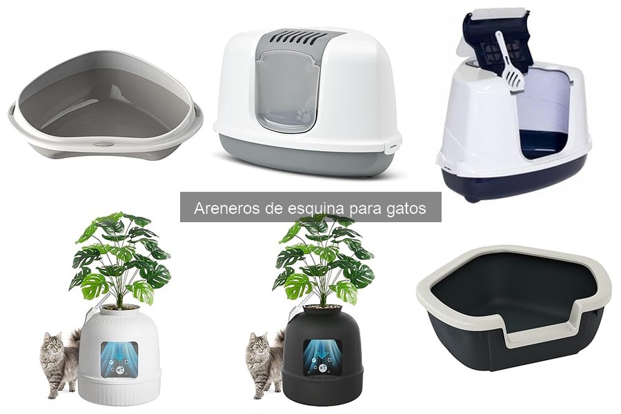 ¿Qué es un arenero de esquina para gatos? Características y beneficios