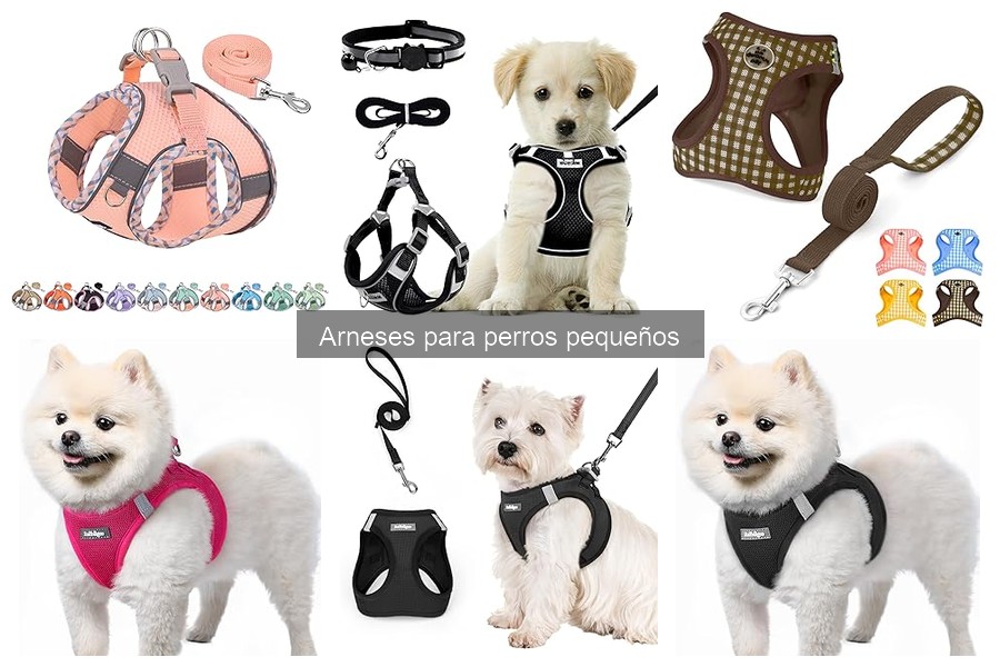 ¿Qué es un arnés para perros pequeños? Beneficios y características