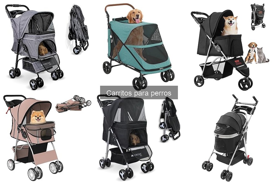¿Qué es un carrito para perros? Guía y características
