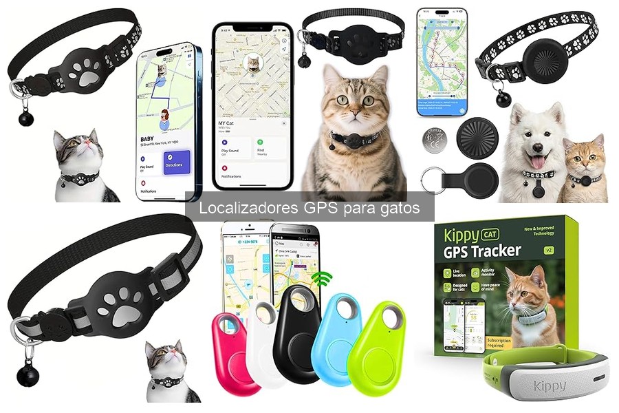 ¿Qué es un localizador GPS para gatos? Descubre sus ventajas