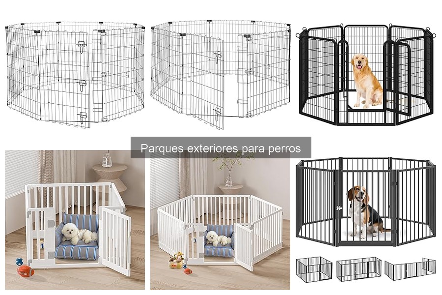 ¿Qué es un parque exterior para perros? Características y usos