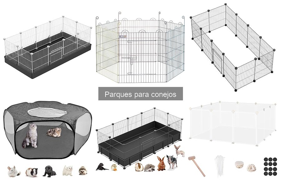 ¿Qué es un parque para conejos? Características y beneficios