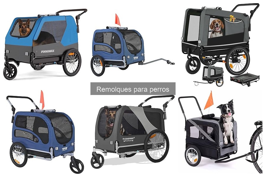 ¿Qué es un remolque para perros? Características y usos