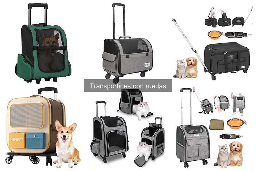 ¿Qué es un transportín con ruedas para mascotas?