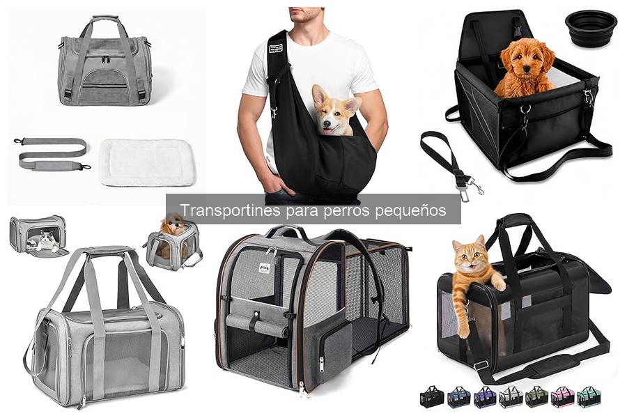¿Qué es un transportín para perros pequeños? Guía completa