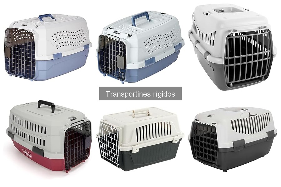 ¿Qué es un transportín rígido para mascotas? Definición y características