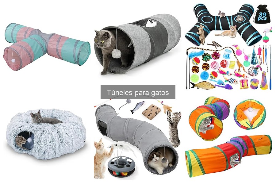 Qué es un túnel para gatos: características y beneficios