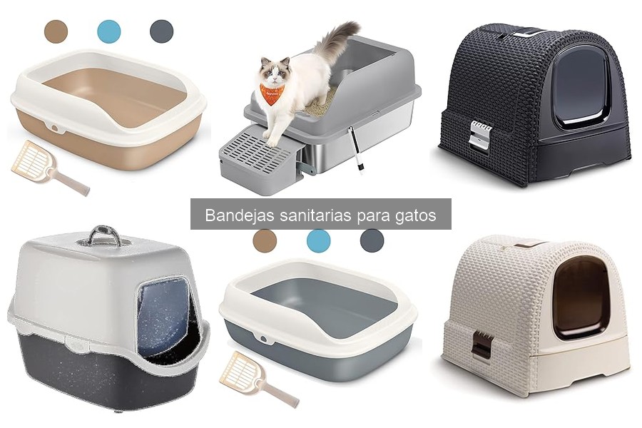 ¿Qué es una bandeja sanitaria para gatos? Guía para principiantes