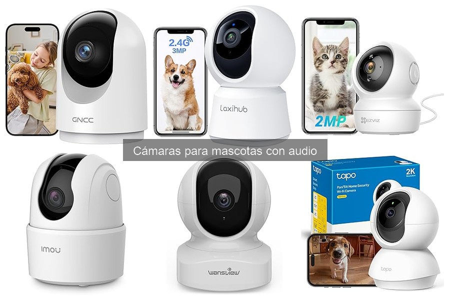 ¿Qué es una cámara para mascotas con audio? Descubre sus beneficios