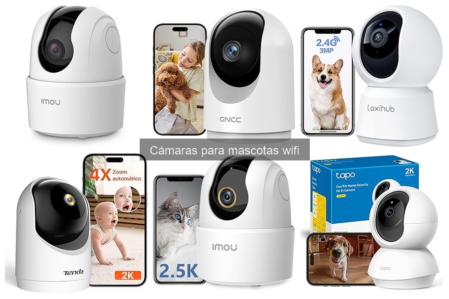 ¿Qué es una cámara para mascotas wifi? Funciones y Beneficios