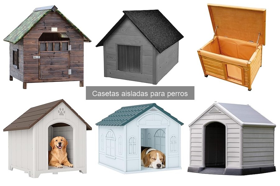 ¿Qué es una caseta aislada para perros? Características y Beneficios