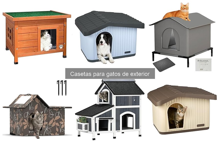 ¿Qué es una caseta para gatos de exterior? Características y beneficios