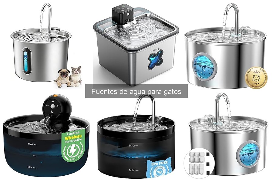 ¿Qué es una fuente de agua para gatos y sus beneficios?