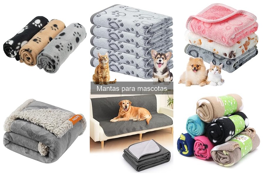 ¿Qué es una manta para mascotas? Usos y beneficios esenciales