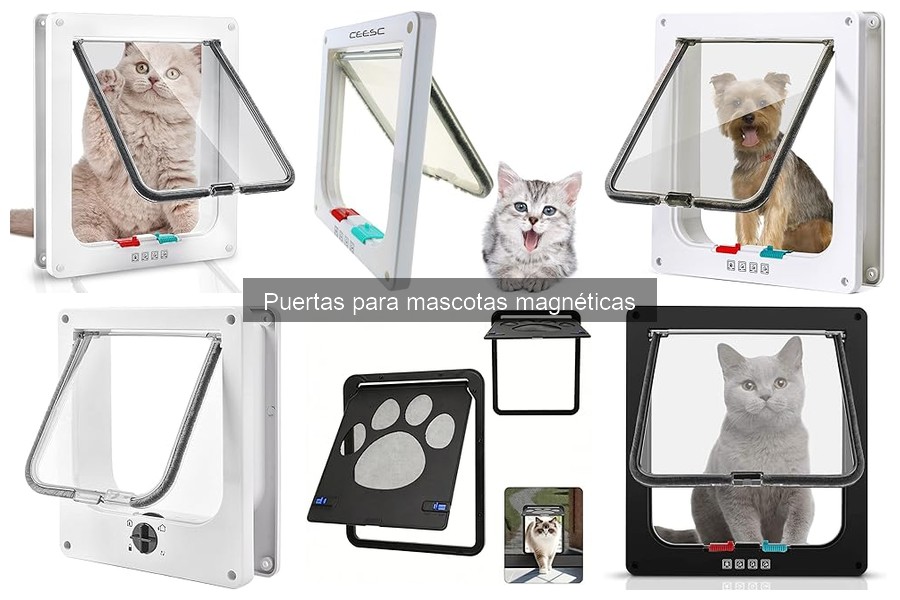 ¿Qué es una puerta magnética para mascotas? Descubre sus beneficios
