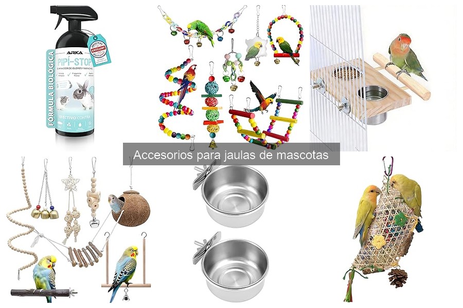 ¿Qué hacer si a mi mascota no quiere usar accesorios?