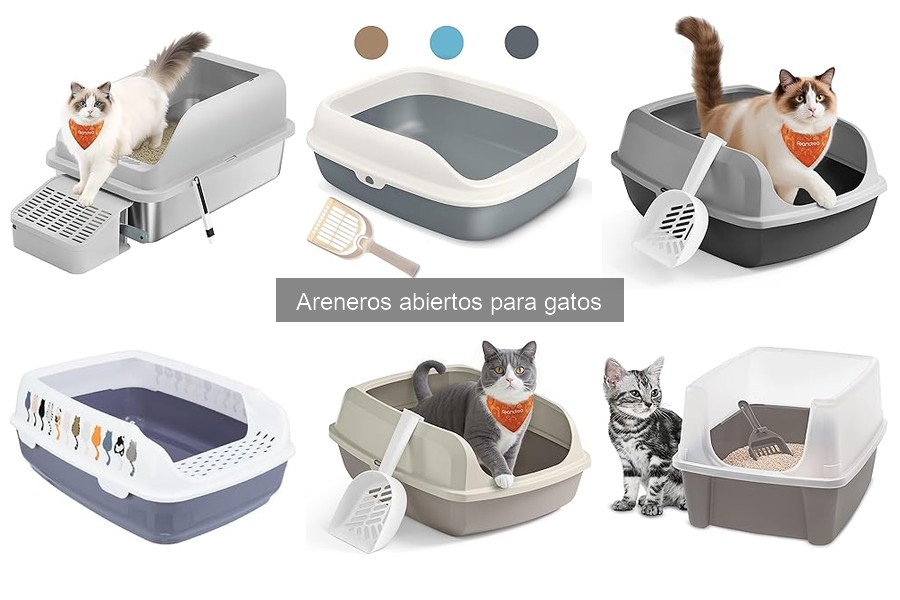 ¿Qué hacer si mi gato no usa el arenero abierto?