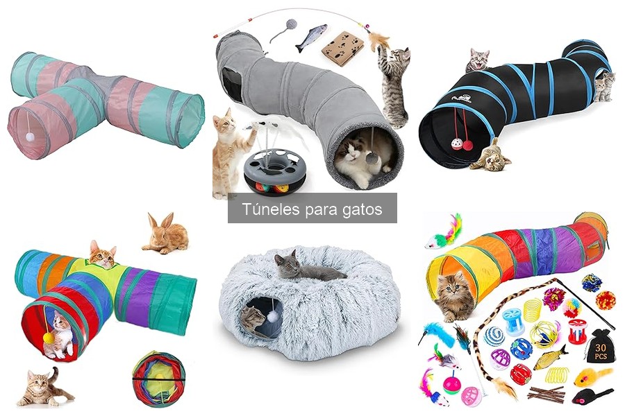 ¿Qué hacer si mi gato no usa el túnel? Soluciones efectivas