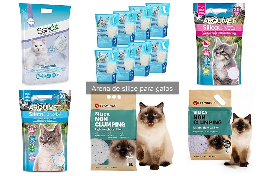 ¿Qué hacer si mi gato no usa la arena de sílice?