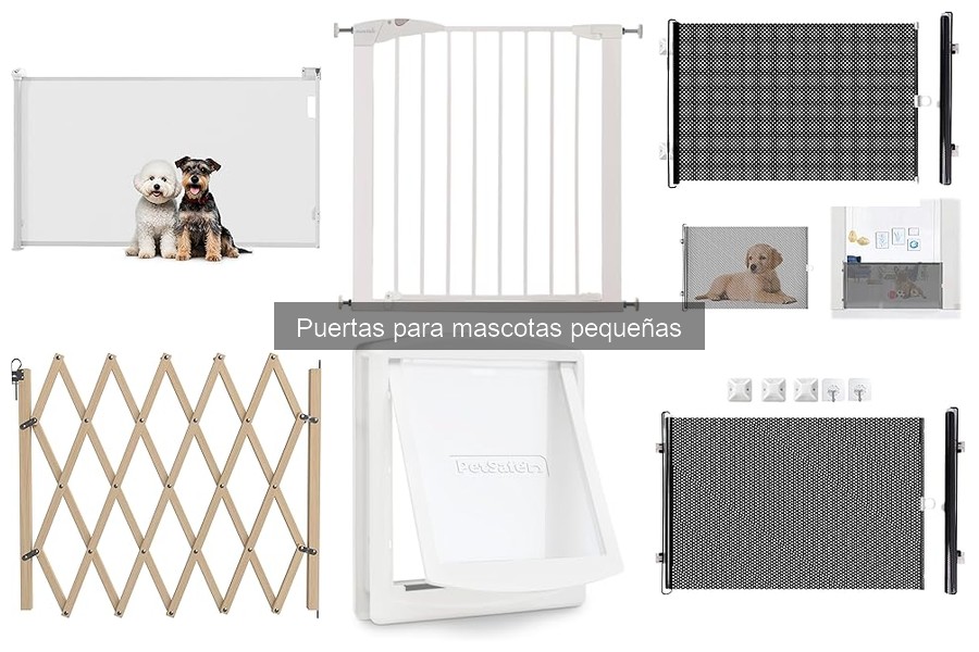 ¿Qué hacer si mi mascota no usa la puerta? Soluciones efectivas