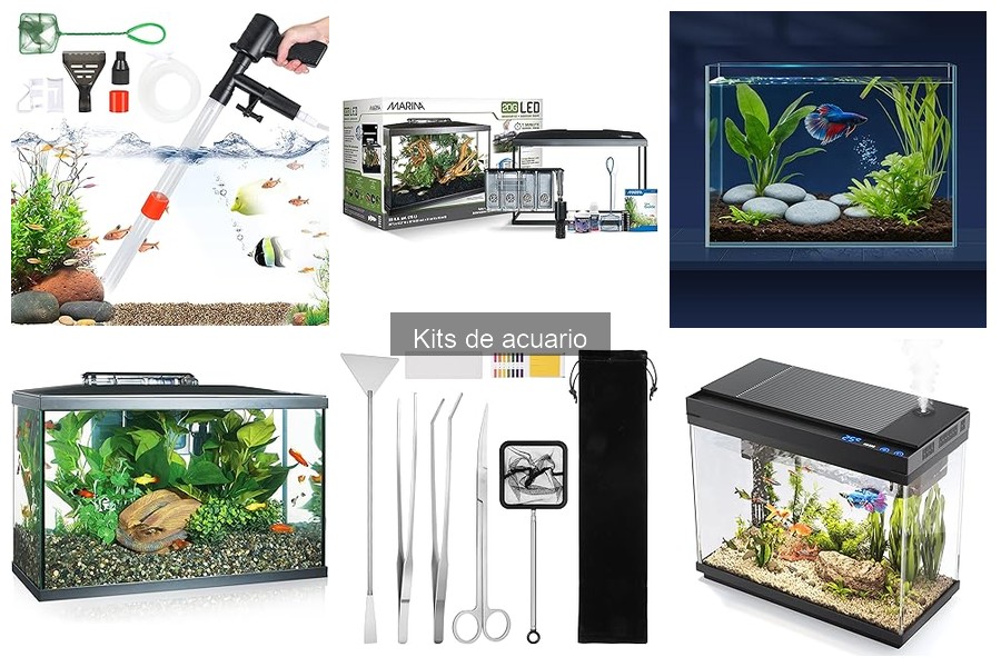 ¿Qué incluye un kit de acuario? Guía para principiantes