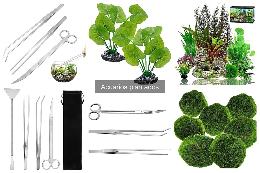 ¿Qué luz es mejor para acuarios plantados? Guía práctica