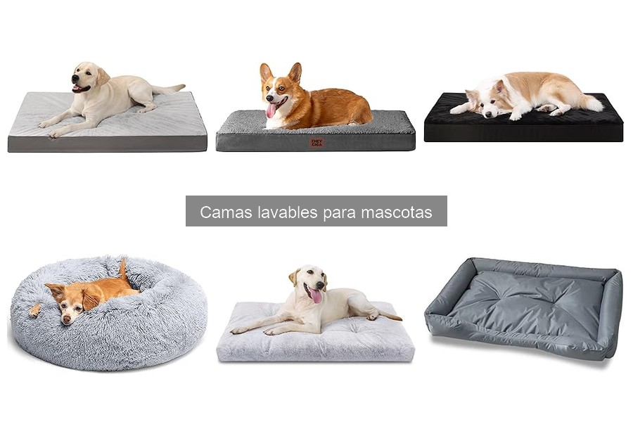 ¿Qué son las camas lavables para mascotas? Guía completa