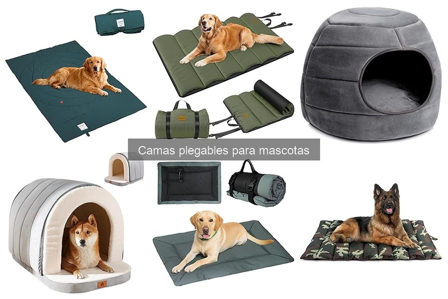 ¿Qué son las camas plegables para mascotas? Información útil