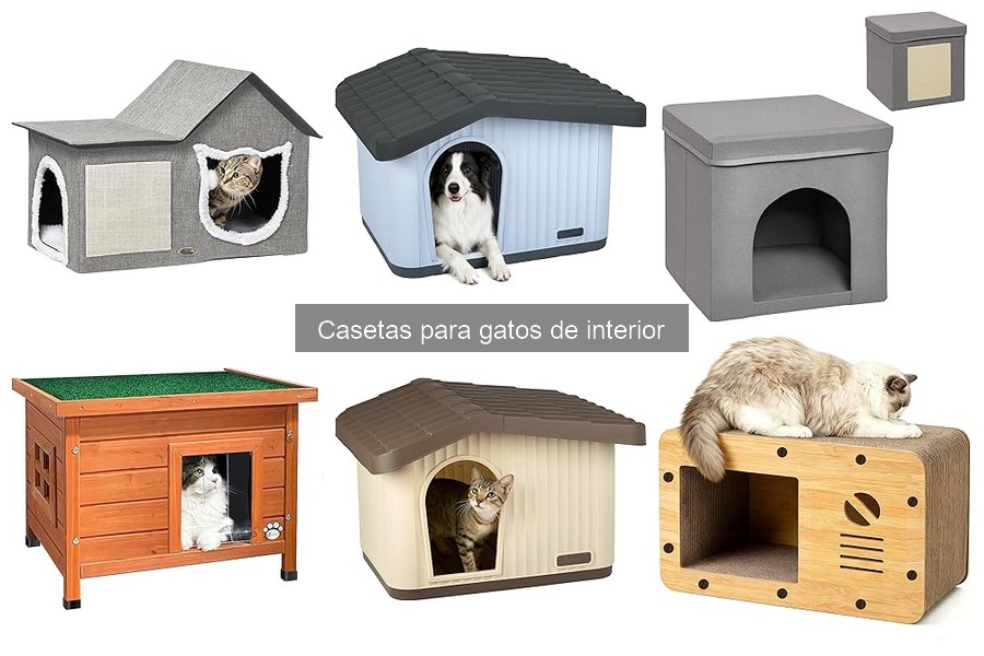 ¿Qué son las casetas para gatos de interior? Beneficios y características
