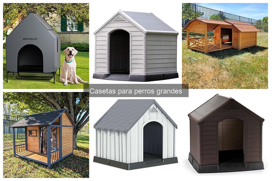 ¿Qué son las casetas para perros grandes? Características y beneficios