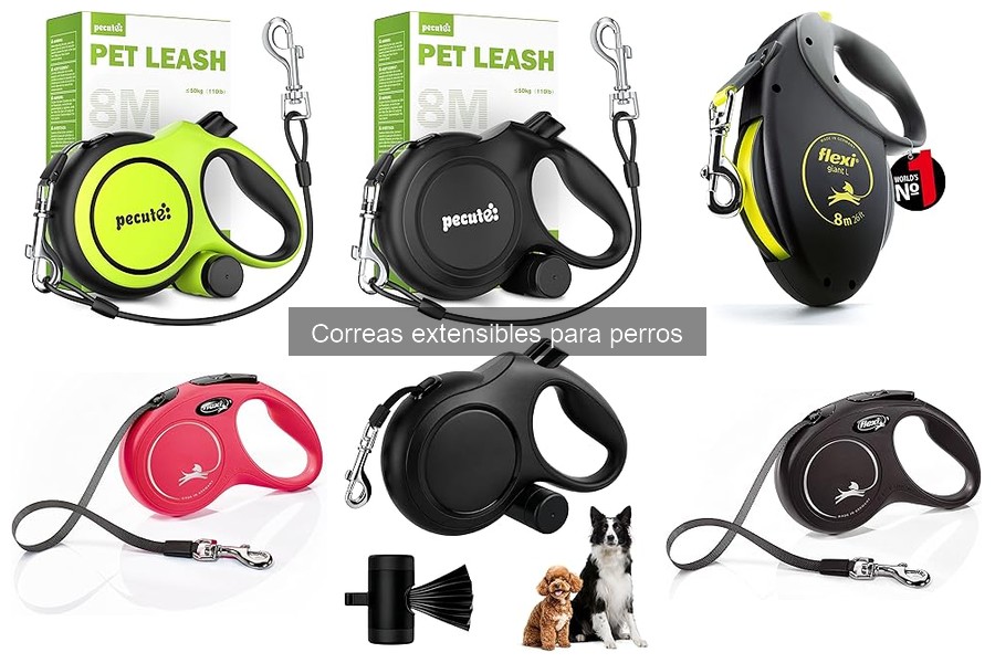 Qué son las correas extensibles para perros: guía informativa