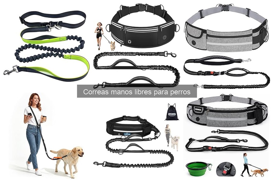 ¿Qué son las correas manos libres para perros? Beneficios y uso