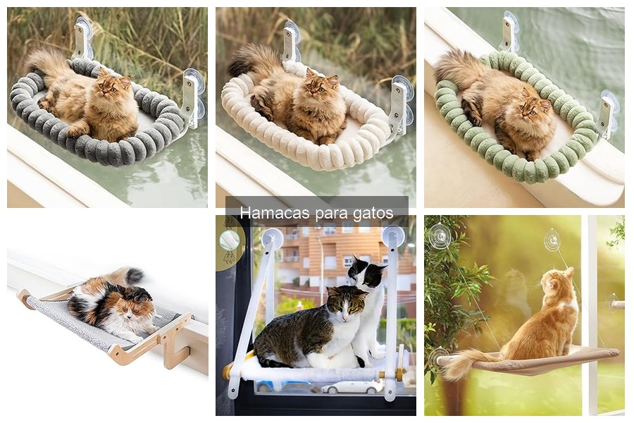 ¿Qué son las hamacas para gatos? Descubre sus beneficios