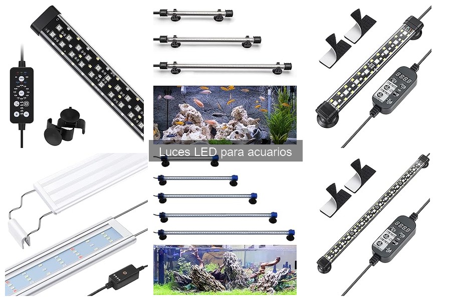 ¿Qué son las luces LED para acuarios? Características y ventajas