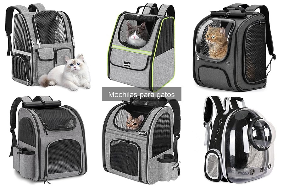 ¿Qué son las mochilas para gatos? Características y usos