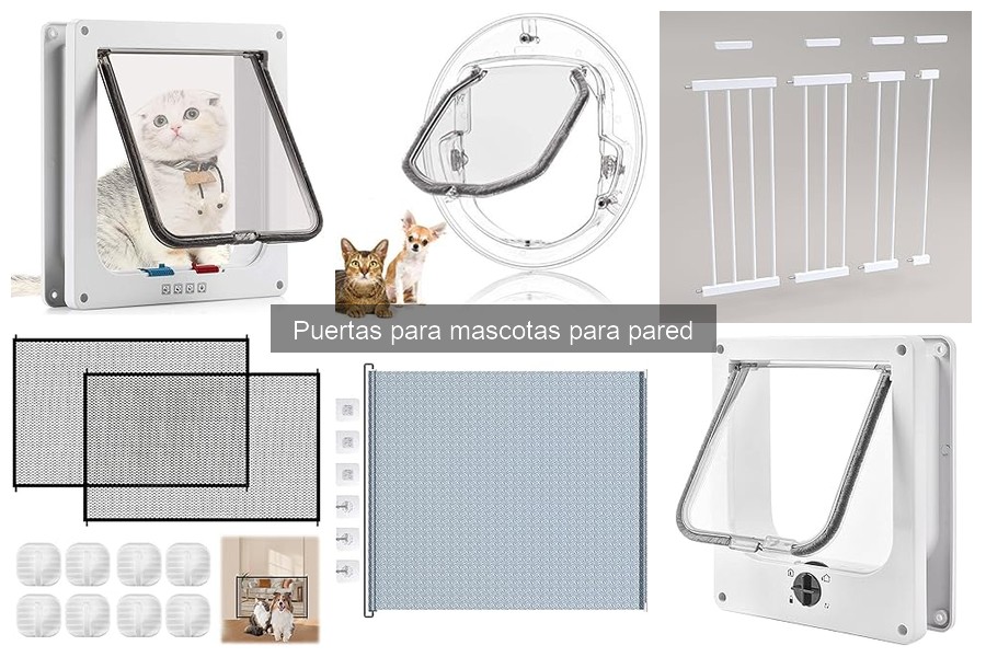 ¿Qué son las puertas para mascotas en pared? Descúbrelo aquí
