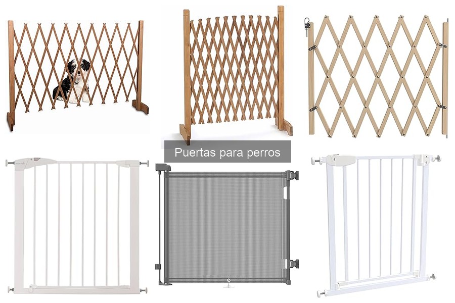 ¿Qué son las puertas para perros? Funciones y beneficios