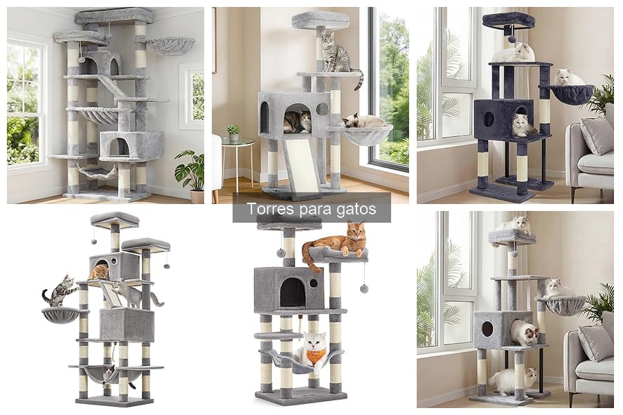 ¿Qué son las torres para gatos? Descubre sus beneficios