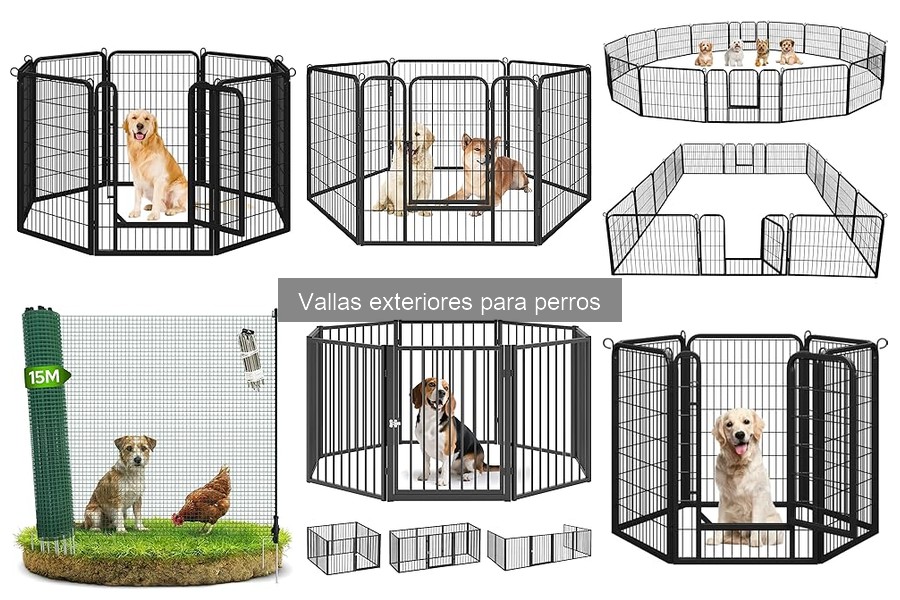 ¿Qué son las vallas exteriores para perros? Beneficios y funciones