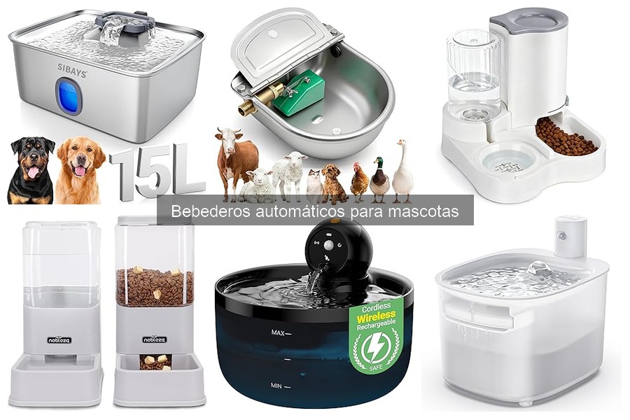 ¿Qué son los bebederos automáticos para mascotas?
