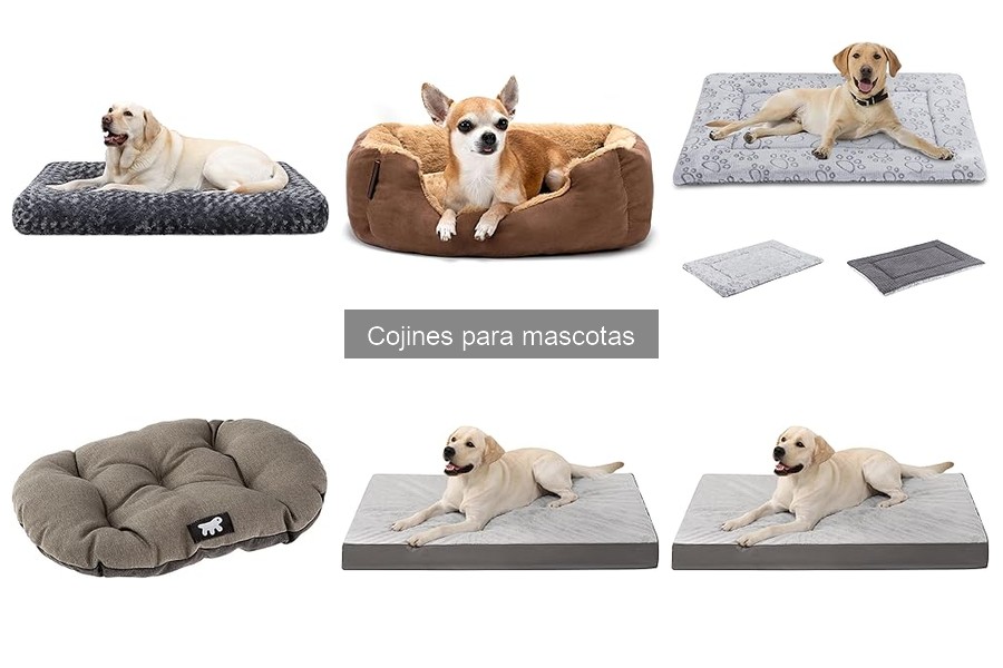 ¿Qué son los cojines para mascotas? Descubre sus beneficios