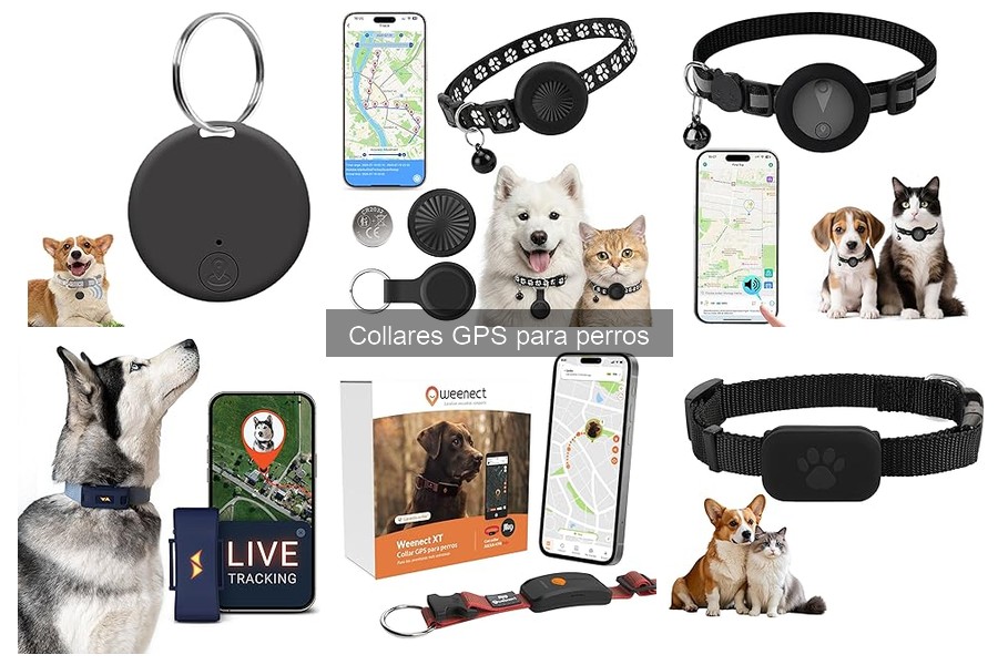 ¿Qué Son los Collares GPS para Perros? Funciones y Beneficios