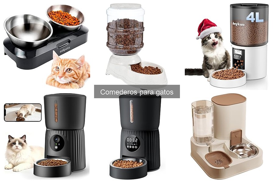 ¿Qué son los comederos para gatos? Descubre sus beneficios