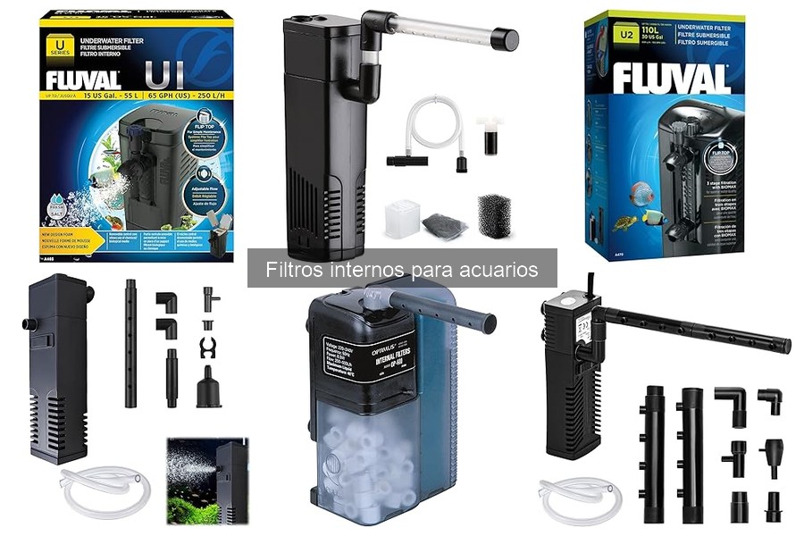 Qué son los filtros internos para acuarios y su función
