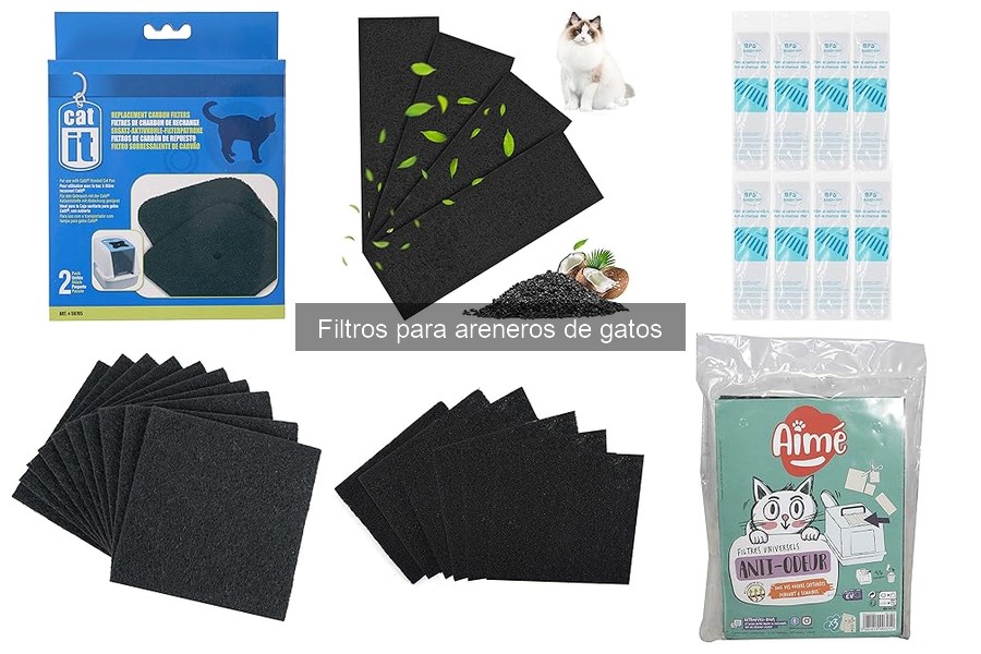 ¿Qué son los filtros para areneros de gatos? Función y Beneficios
