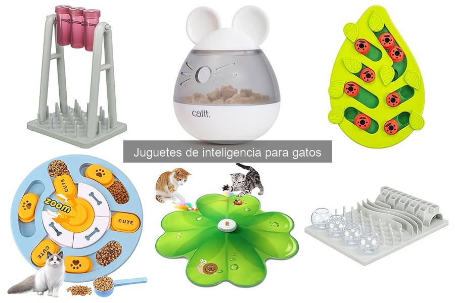 ¿Qué son los juguetes de inteligencia para gatos?