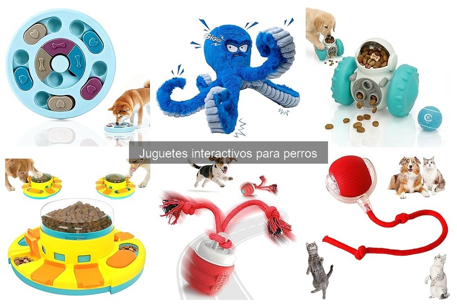 ¿Qué son los juguetes interactivos para perros? Guía completa