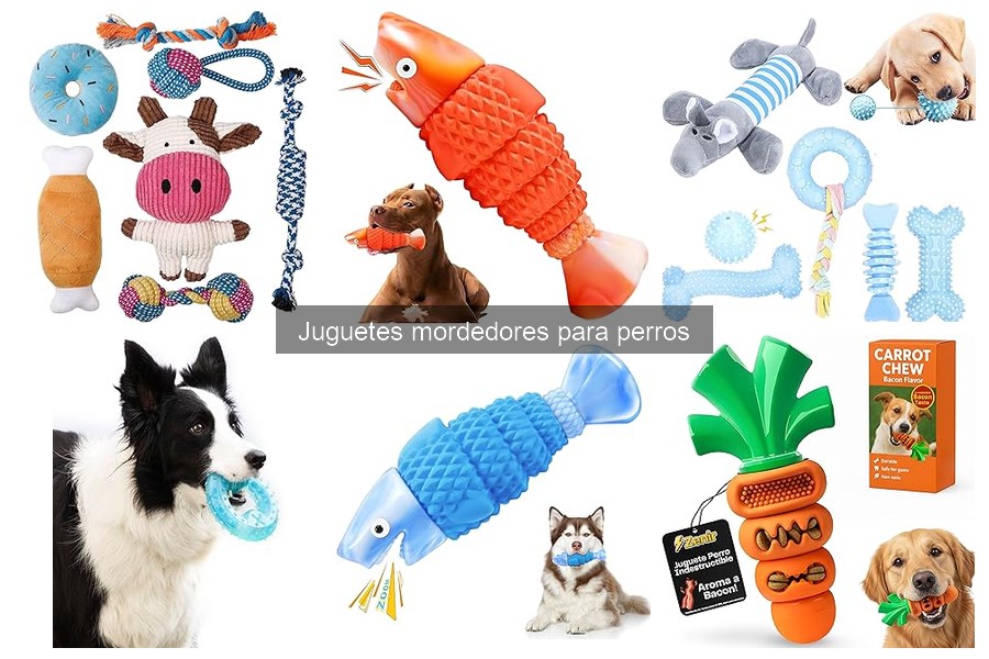 ¿Qué son los juguetes mordedores para perros? Beneficios