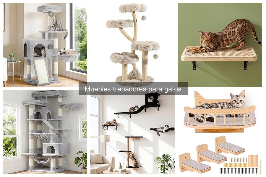 ¿Qué son los muebles trepadores para gatos? Beneficios y tipos