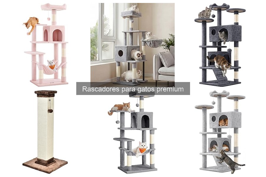 ¿Qué son los rascadores para gatos premium? Características clave